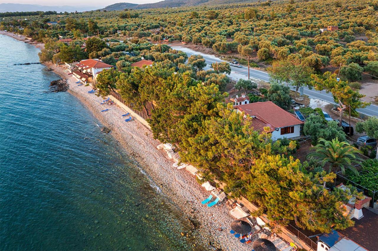 Pine Beach House Skála Kallirákhis エクステリア 写真